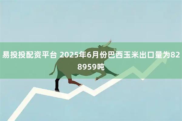 易投投配资平台 2025年6月份巴西玉米出口量为828959吨
