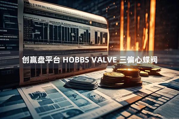 创赢盘平台 HOBBS VALVE 三偏心蝶阀