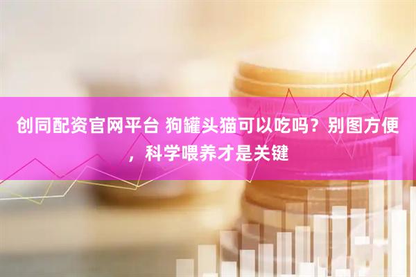 创同配资官网平台 狗罐头猫可以吃吗？别图方便，科学喂养才是关键