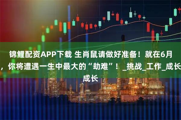 锦鲤配资APP下载 生肖鼠请做好准备！就在6月，你将遭遇一生中最大的“劫难”！_挑战_工作_成长