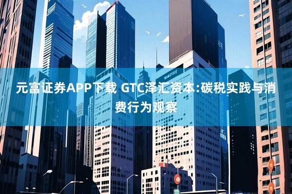 元富证券APP下载 GTC泽汇资本:碳税实践与消费行为观察